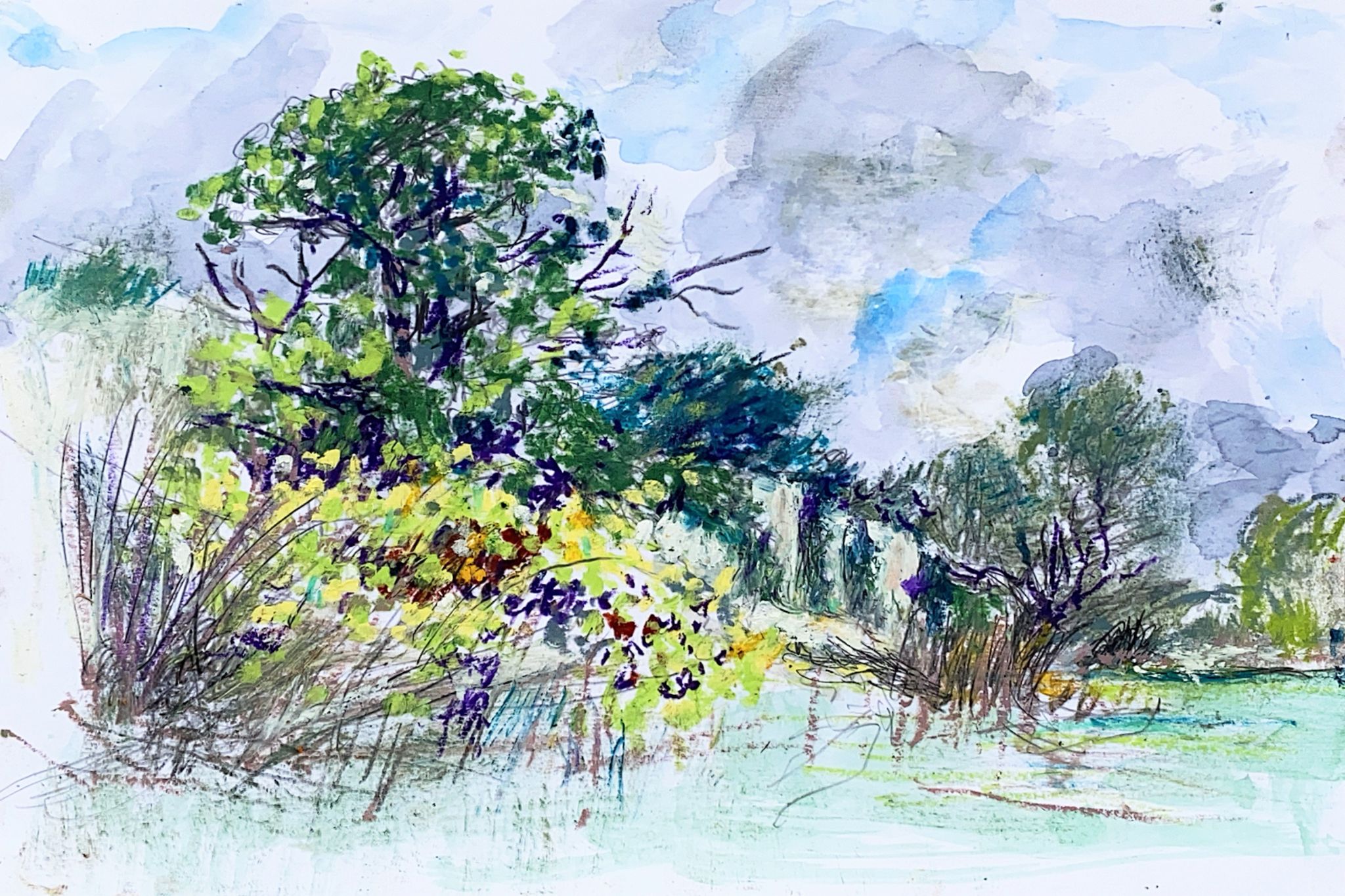 Cave di Cusa - Selinunte - Sicilia